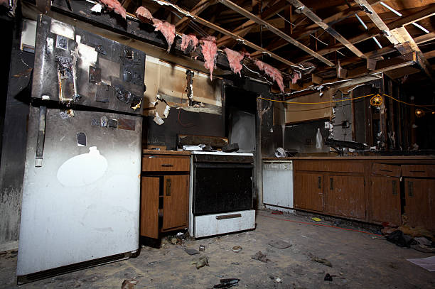 Licensed Fire Damage Removal service in Springfield, MN - Fire Damage Flint